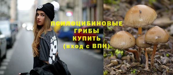 кристаллы Вяземский